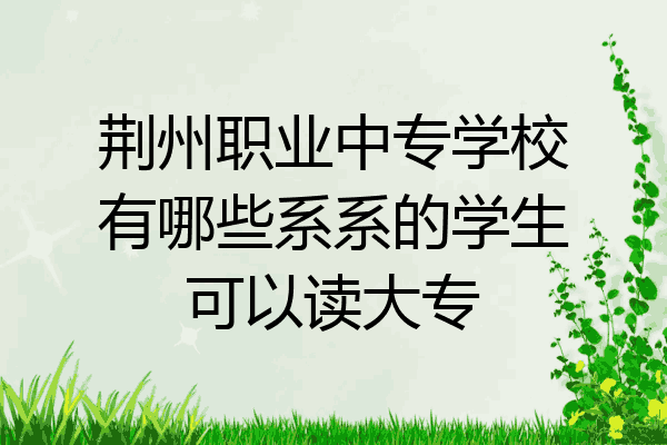 荆州职业中专学校有哪些系系的学生可以读大专