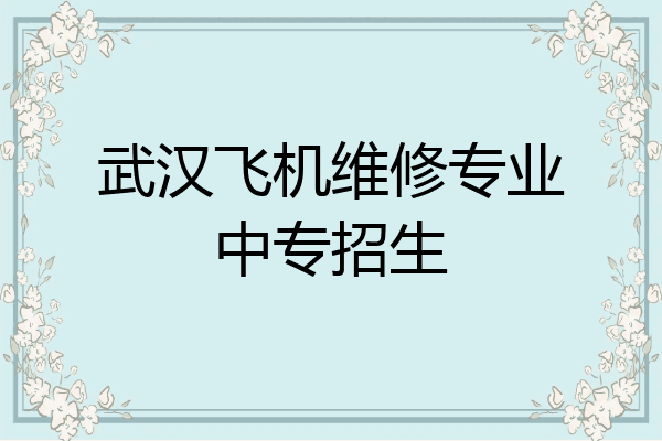 武汉飞机维修专业中专招生