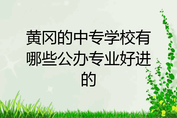 黄冈的中专学校有哪些公办专业好进的
