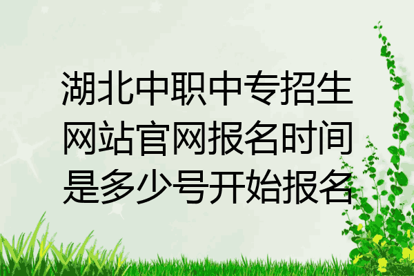 湖北中职中专招生网站官网报名时间是多少号开始报名
