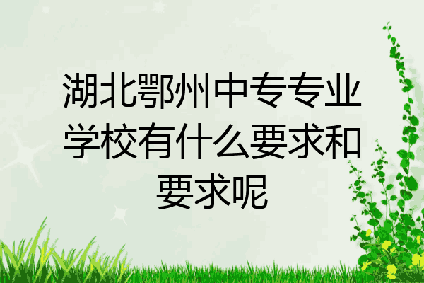 湖北鄂州中专专业学校有什么要求和要求呢