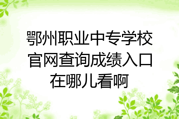 鄂州职业中专学校官网查询成绩入口在哪儿看啊