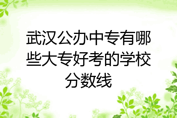 武汉公办中专有哪些大专好考的学校分数线
