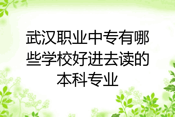 武汉职业中专有哪些学校好进去读的本科专业