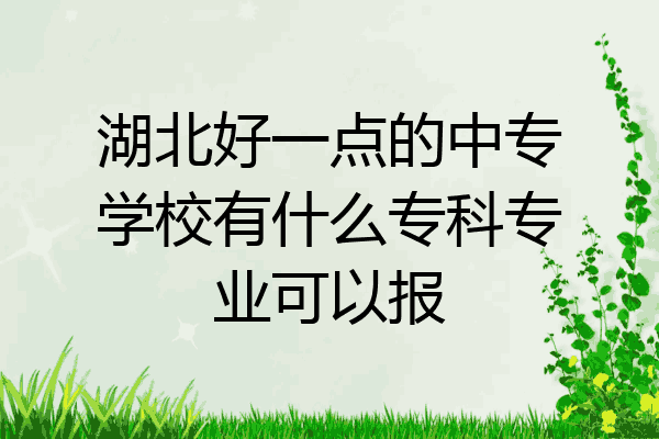 湖北好一点的中专学校有什么专科专业可以报