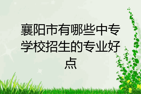 襄阳市有哪些中专学校招生的专业好点