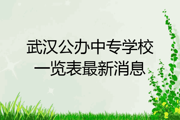 武汉公办中专学校一览表最新消息