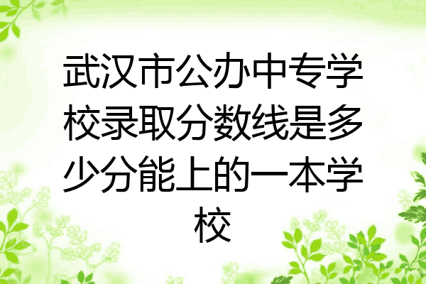 武汉市公办中专学校录取分数线是多少分能上的一本学校