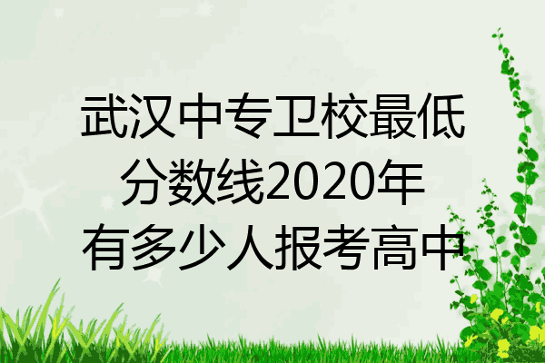 武汉中专卫校最低分数线2020年有多少人报考高中