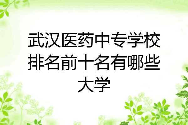 武汉医药中专学校排名前十名有哪些大学