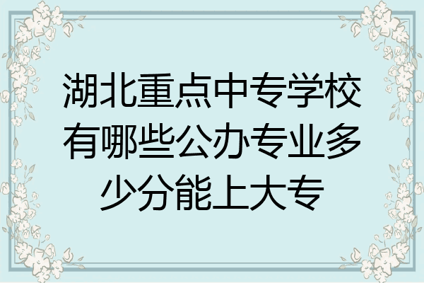 湖北重点中专学校有哪些公办专业多少分能上大专