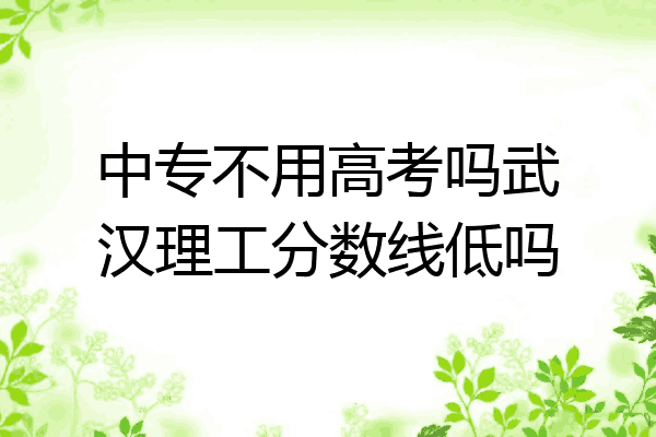 中专不用高考吗武汉理工分数线低吗