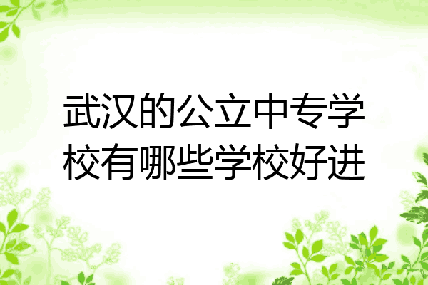 武汉的公立中专学校有哪些学校好进
