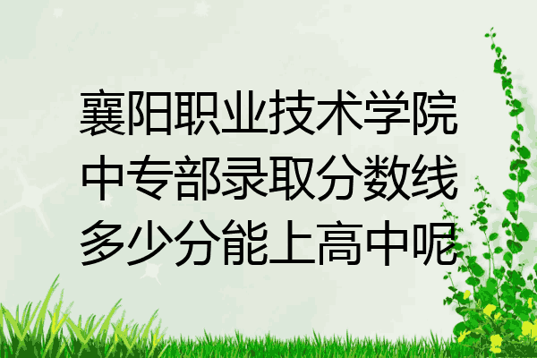 襄阳职业技术学院中专部录取分数线多少分能上高中呢