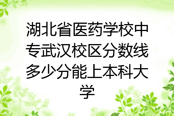 湖北省医药学校中专武汉校区分数线多少分能上本科大学