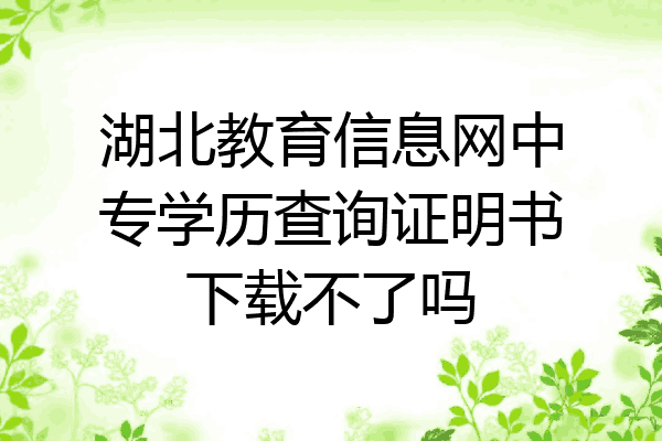 湖北教育信息网中专学历查询证明书下载不了吗