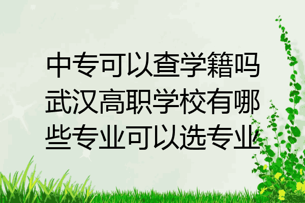 中专可以查学籍吗武汉高职学校有哪些专业可以选专业