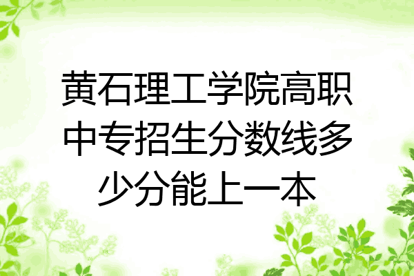 黄石理工学院高职中专招生分数线多少分能上一本