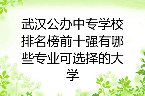 武汉公办中专学校排名榜前十强有哪些专业可选择的大学