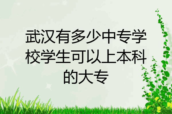 武汉有多少中专学校学生可以上本科的大专