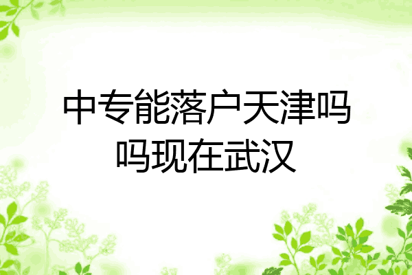中专能落户天津吗吗现在武汉