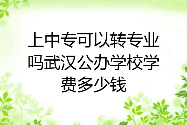 上中专可以转专业吗武汉公办学校学费多少钱