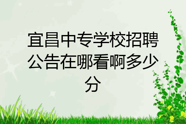 宜昌中专学校招聘公告在哪看啊多少分