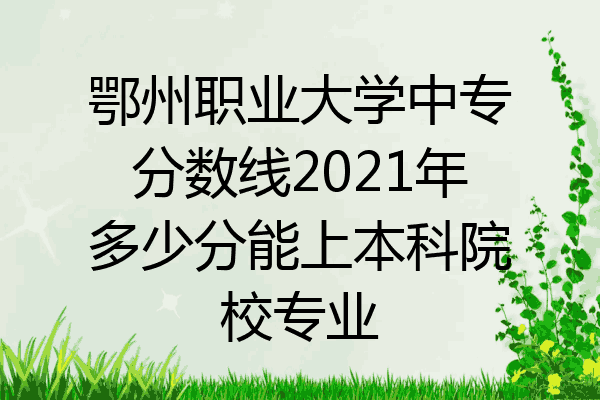 鄂州职业大学中专分数线2021年多少分能上本科院校专业