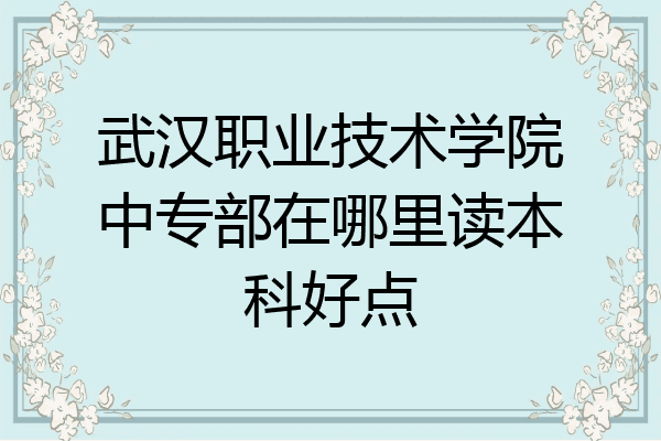 武汉职业技术学院中专部在哪里读本科好点
