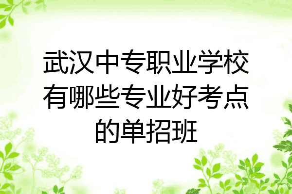 武汉中专职业学校有哪些专业好考点的单招班