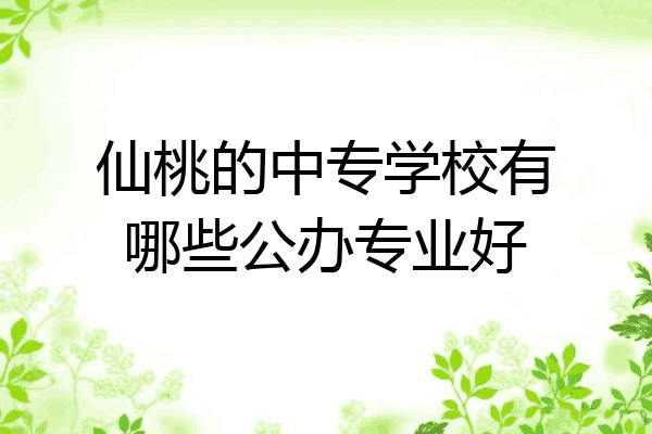 仙桃的中专学校有哪些公办专业好