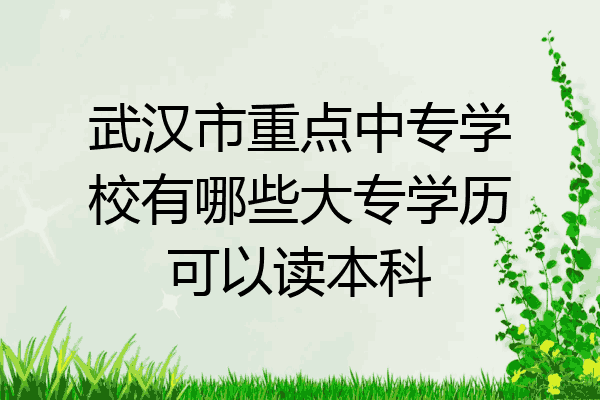 武汉市重点中专学校有哪些大专学历可以读本科
