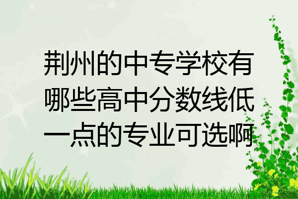 荆州的中专学校有哪些高中分数线低一点的专业可选啊