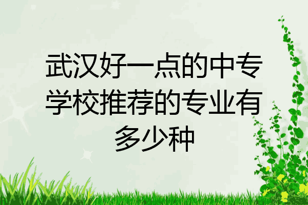 武汉好一点的中专学校推荐的专业有多少种
