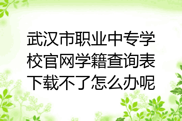 武汉市职业中专学校官网学籍查询表下载不了怎么办呢