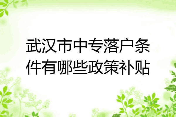 武汉市中专落户条件有哪些政策补贴