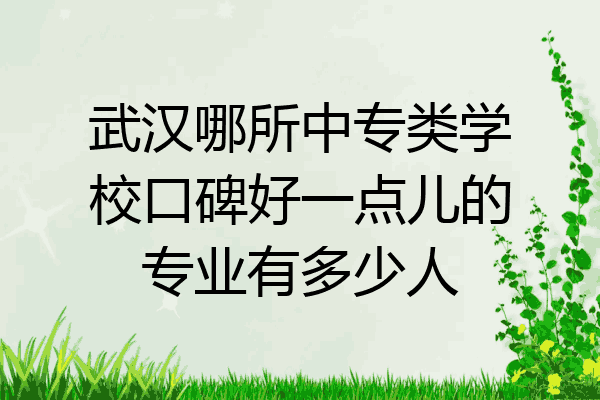 武汉哪所中专类学校口碑好一点儿的专业有多少人