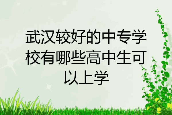 武汉较好的中专学校有哪些高中生可以上学