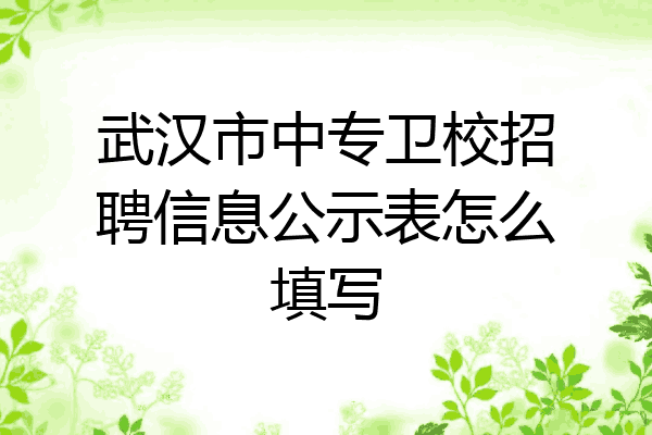 武汉市中专卫校招聘信息公示表怎么填写