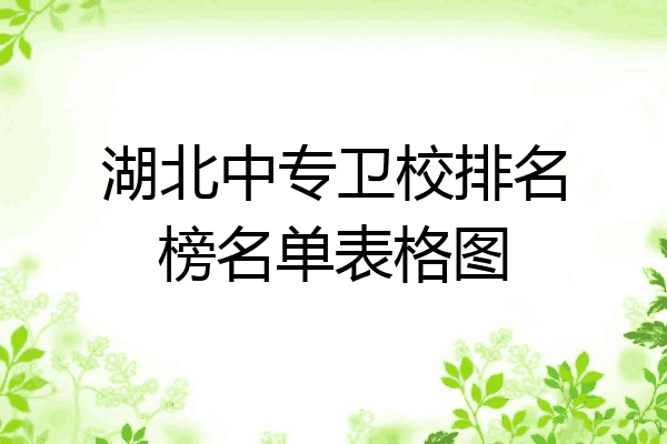 湖北中专卫校排名榜名单表格图