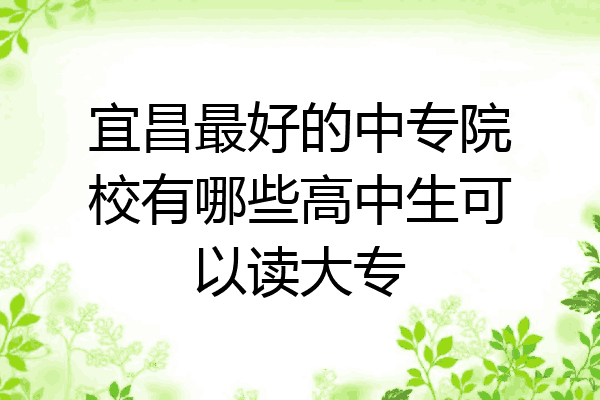 宜昌最好的中专院校有哪些高中生可以读大专
