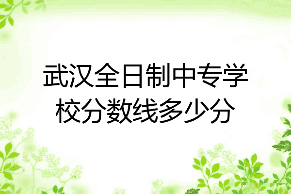 武汉全日制中专学校分数线多少分