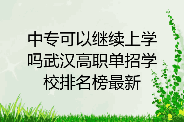中专可以继续上学吗武汉高职单招学校排名榜最新