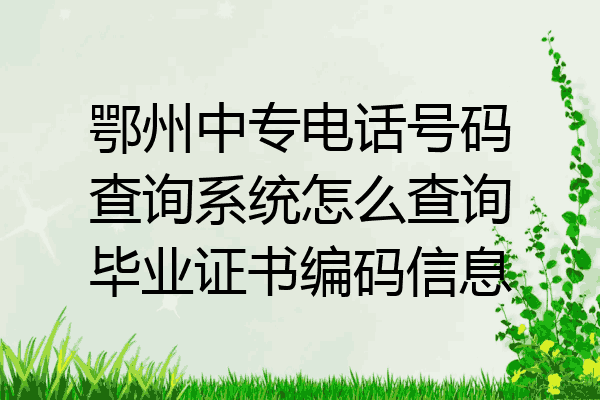 鄂州中专电话号码查询系统怎么查询毕业证书编码信息