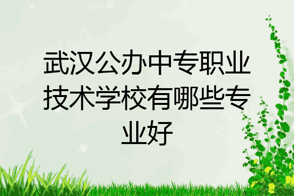 武汉公办中专职业技术学校有哪些专业好