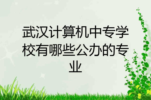 武汉计算机中专学校有哪些公办的专业