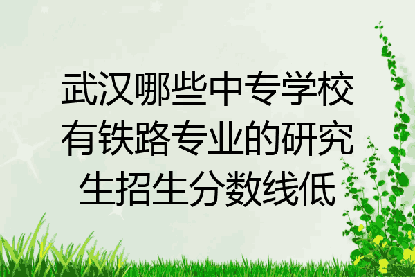 武汉哪些中专学校有铁路专业的研究生招生分数线低