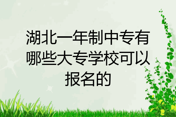 湖北一年制中专有哪些大专学校可以报名的
