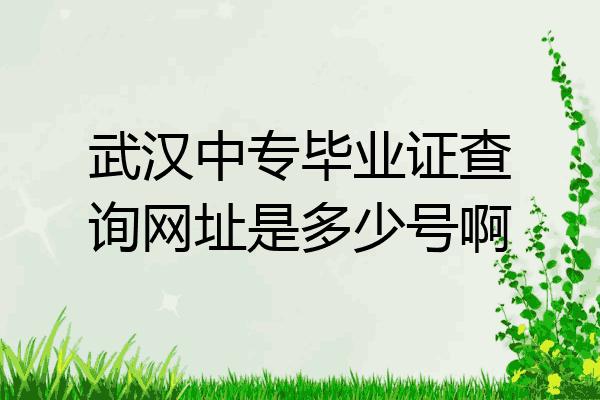 武汉中专毕业证查询网址是多少号啊