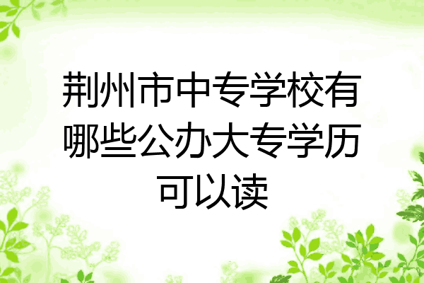 荆州市中专学校有哪些公办大专学历可以读